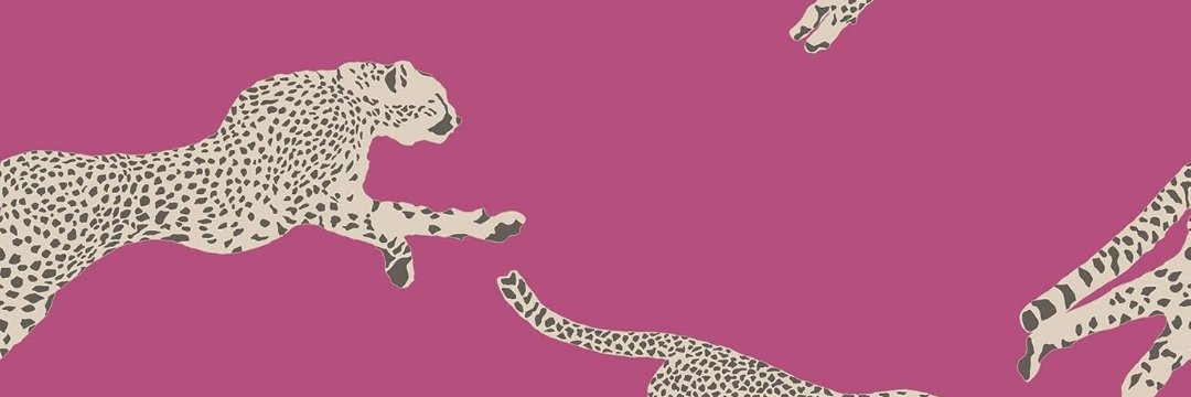 kendralavigne's profile banner image