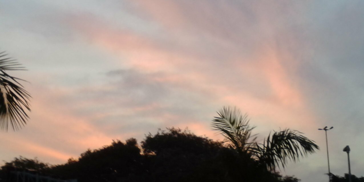 Claudia_NF's profile banner image