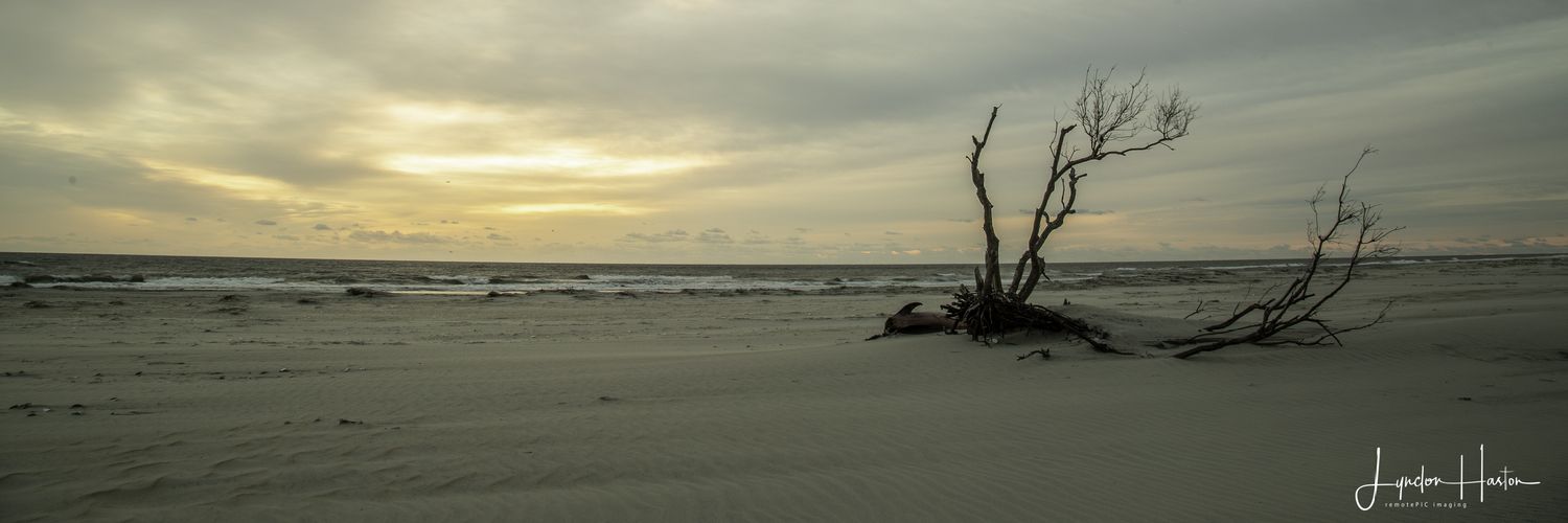 Loon160T's profile banner image