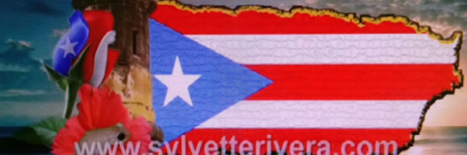 lares66's profile banner image
