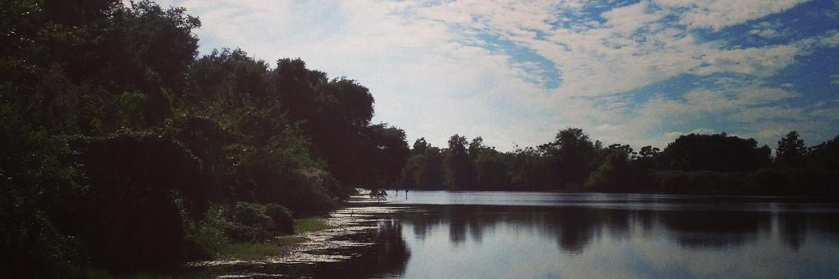 nolaranch's profile banner image