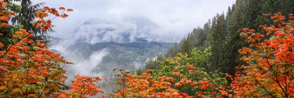burtonhf's profile banner image