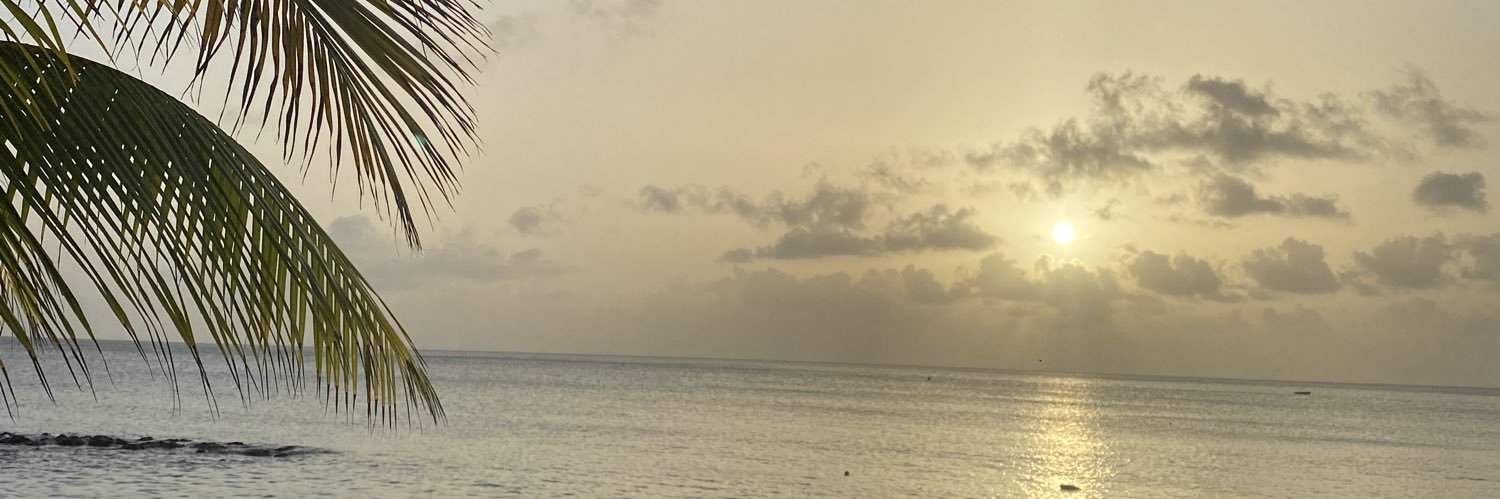 Ms_LD's profile banner image