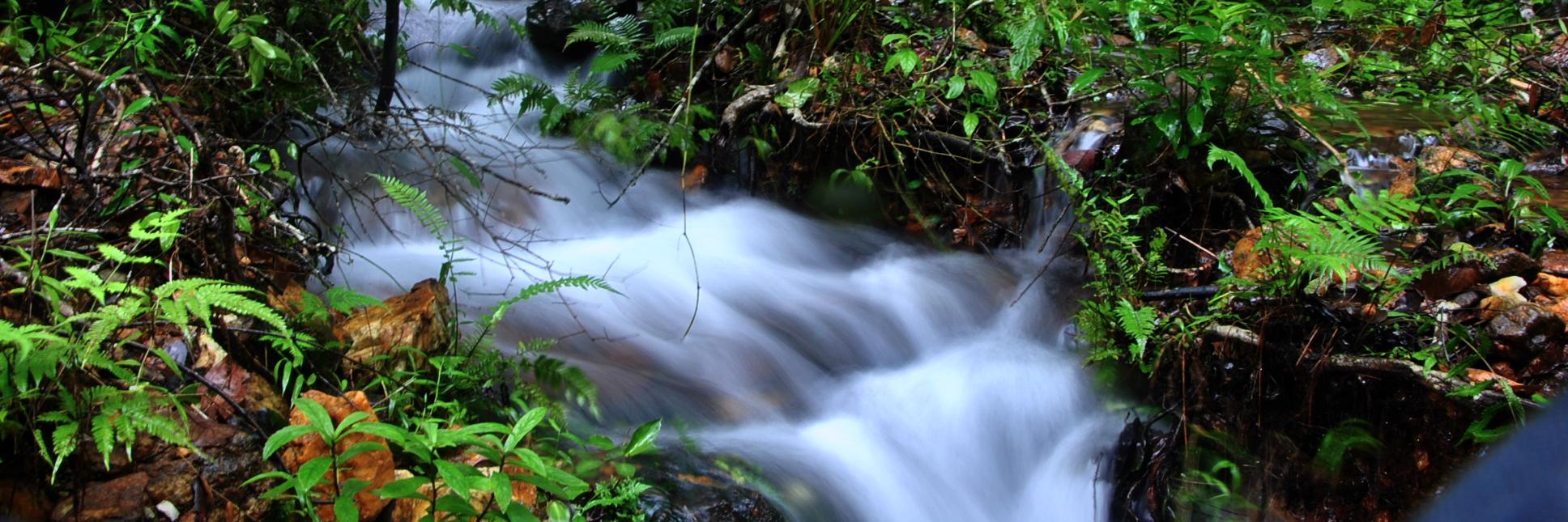 ಸುನಿಲ್ Sunil banner