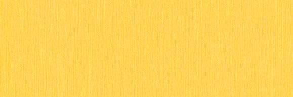 indr_silva's profile banner image