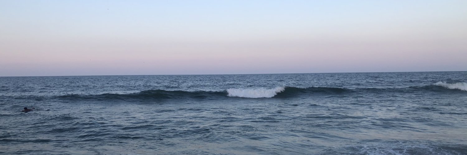 melissa_dee's profile banner image