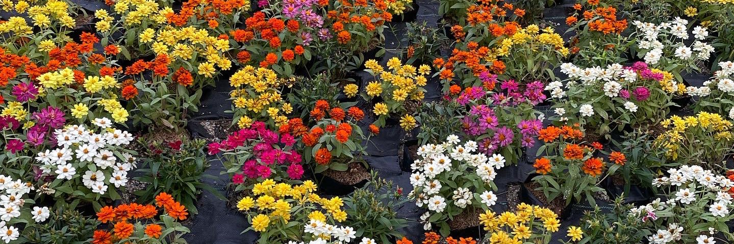 ด.ญ. 𝒑𝒍𝒐𝒚🌤️ banner