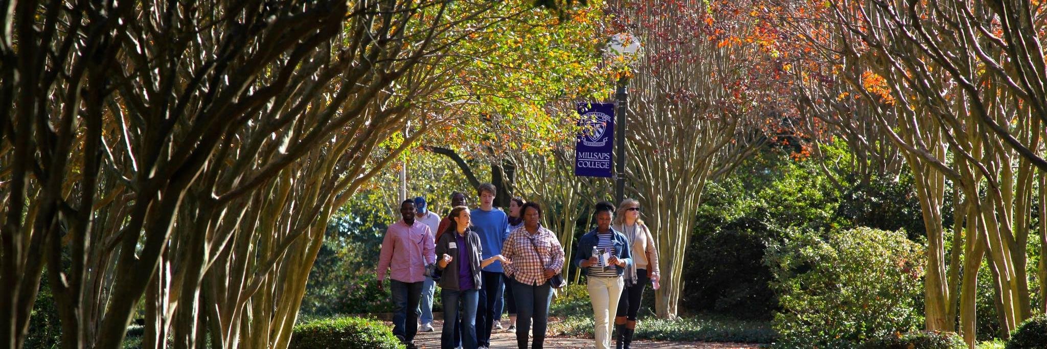 MillsapsSBA's profile banner image
