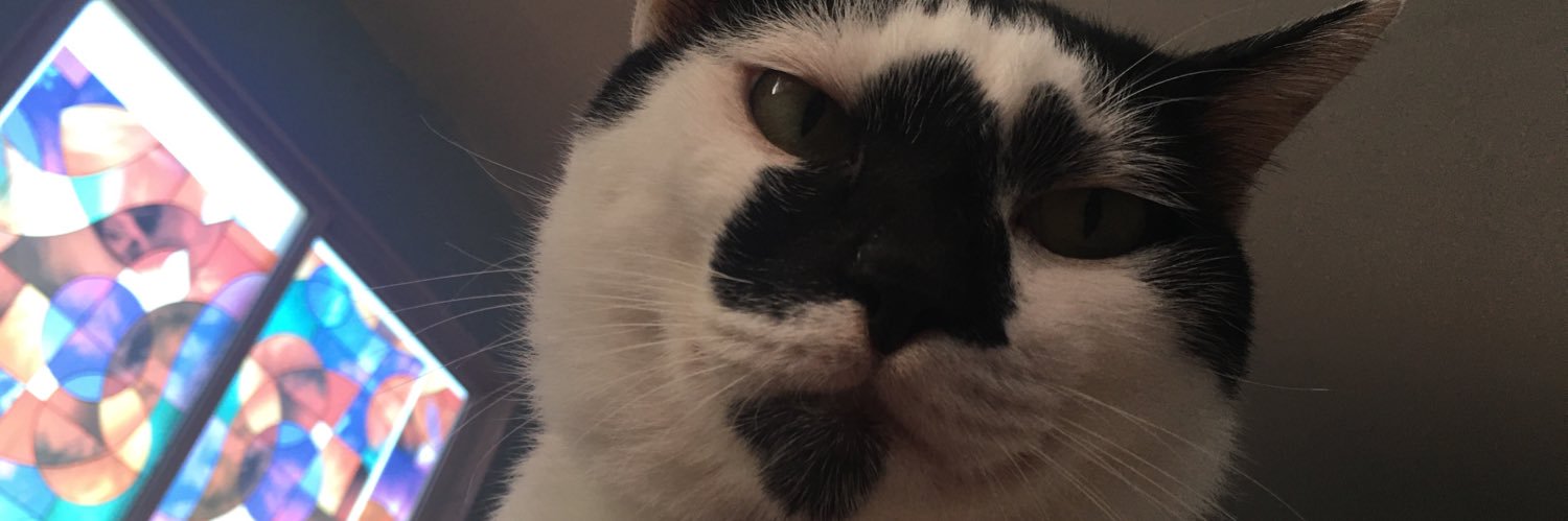 snoopytoktik's profile banner image