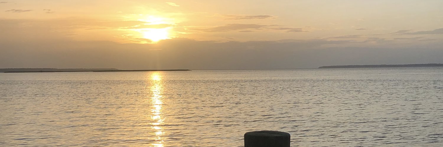 Taylor_anne06's profile banner image