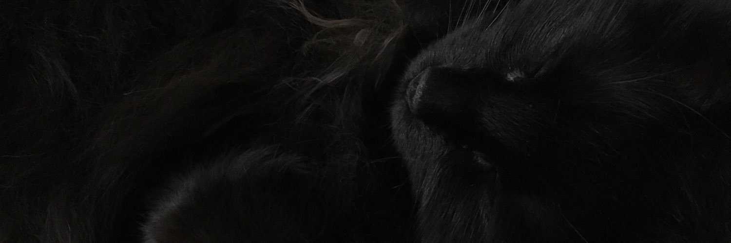 CynfulPrincess's profile banner image
