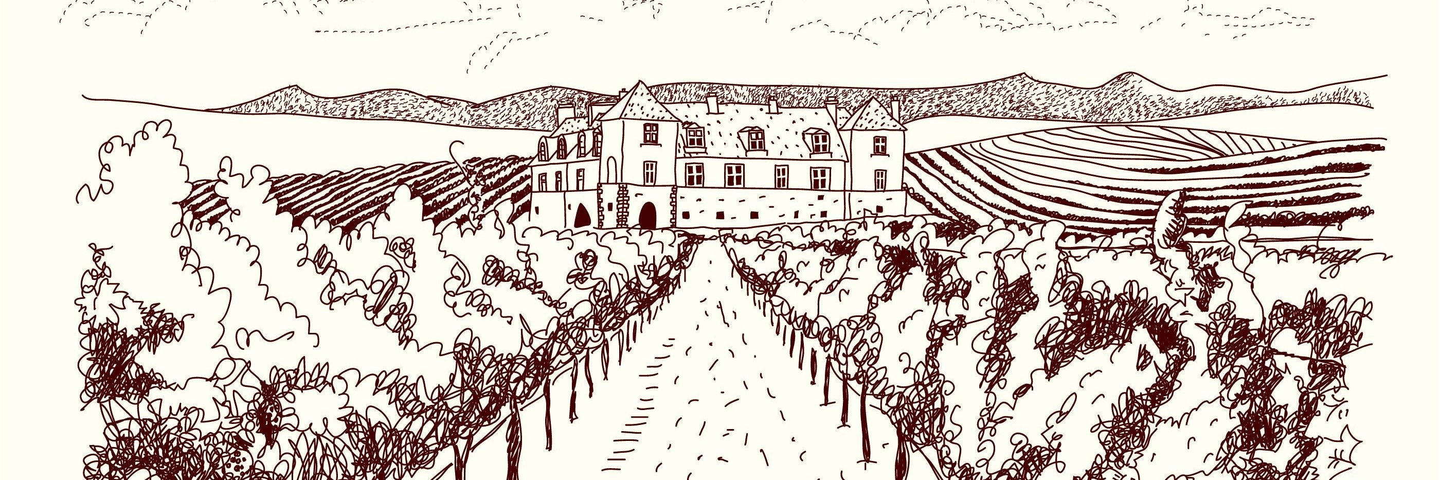 ShopForWineUK's profile banner image