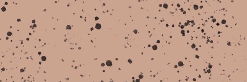 britttneyyl's profile banner image