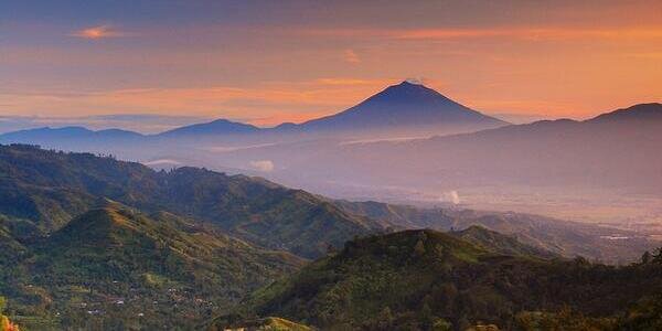 R. banner