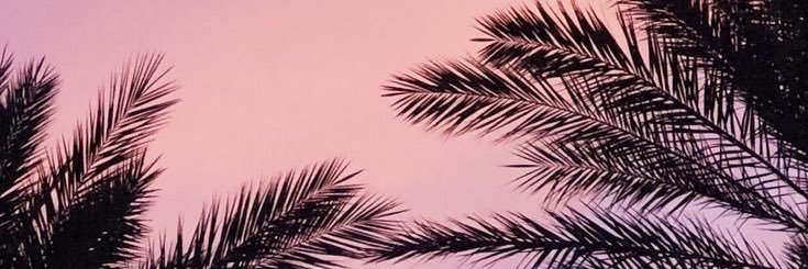 jor_vania's profile banner image