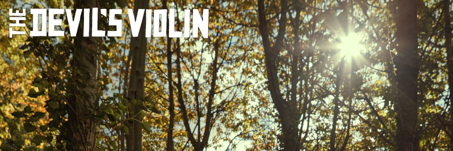 DevilsViolinCo's profile banner image