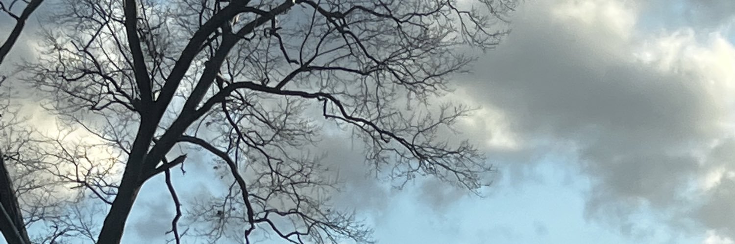 Oshawn33's profile banner image