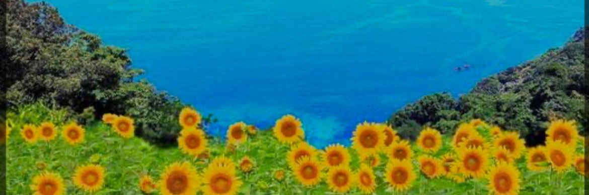 Amanattan's profile banner image