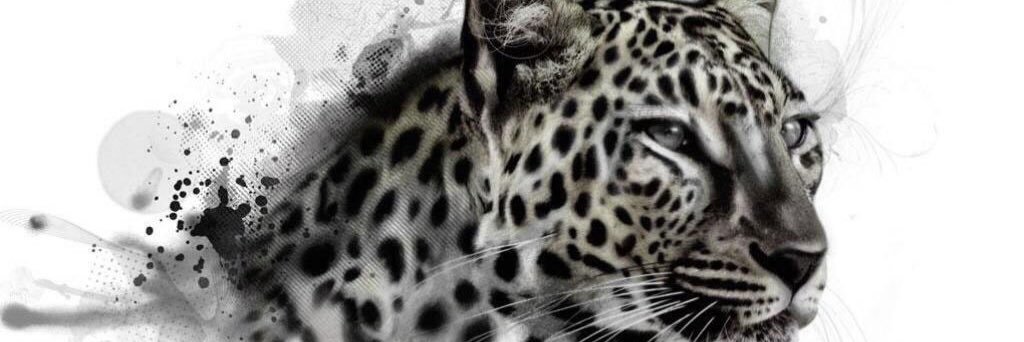vinash_lynn's profile banner image
