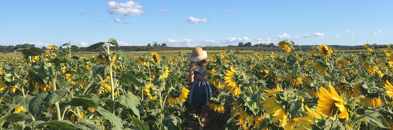 madisonvansipe's profile banner image