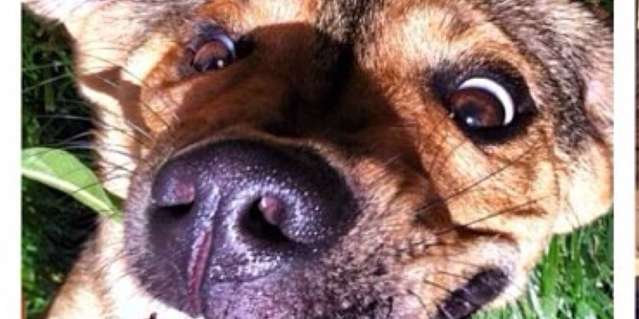 abbey_routh's profile banner image