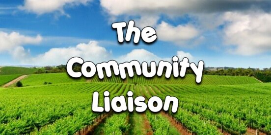 LiaisonSupport's profile banner image