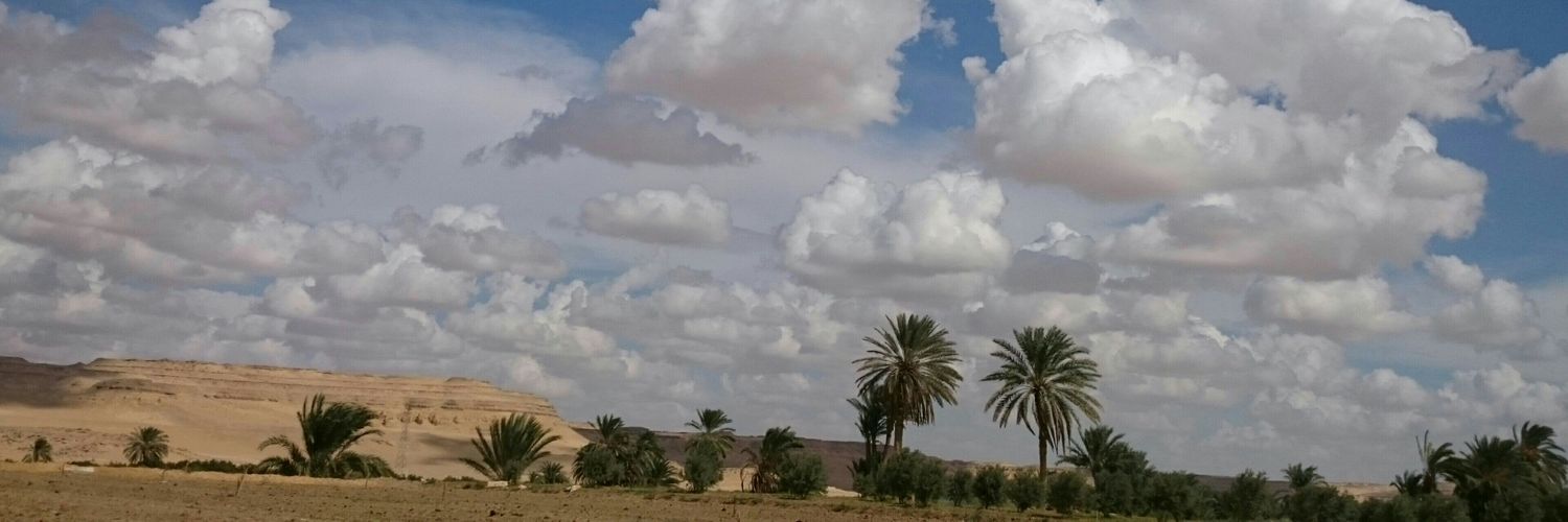 omarkmasry's profile banner image
