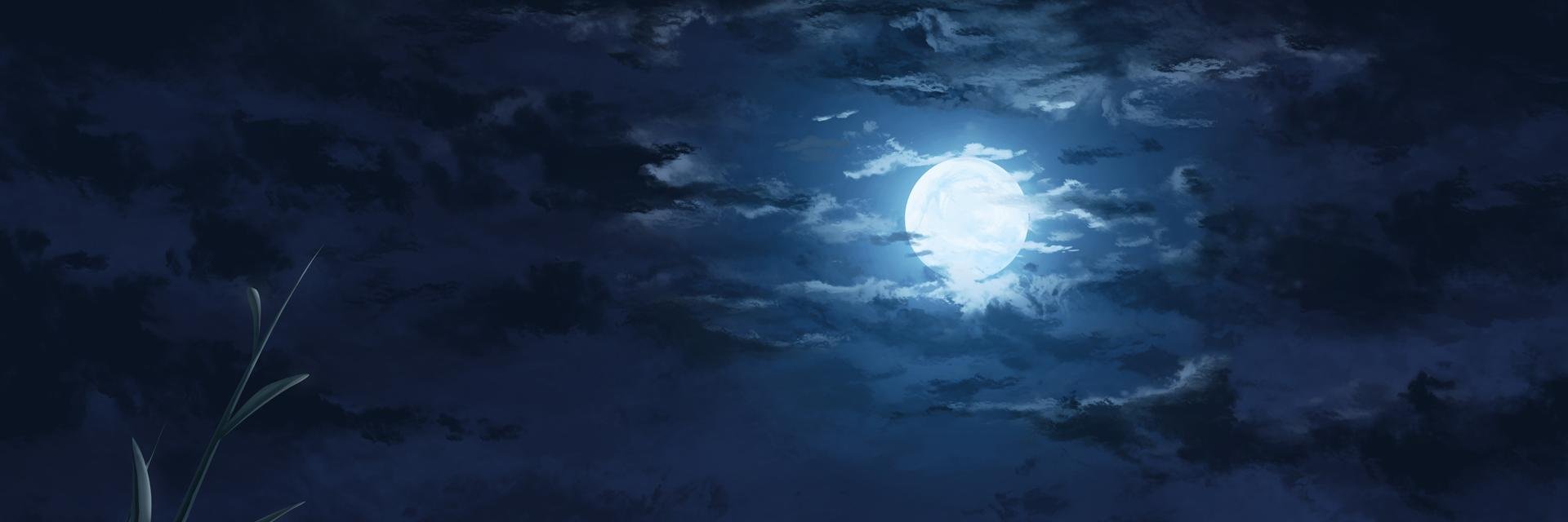 Nimkoy's profile banner image