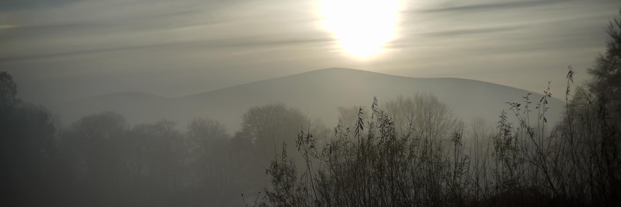 Reforestnation's profile banner image