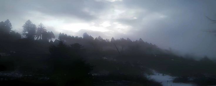 1211September's profile banner image