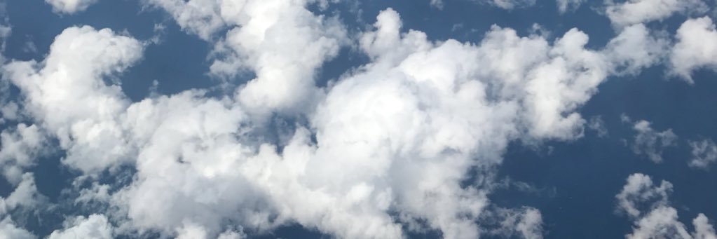 Adriennejoell's profile banner image