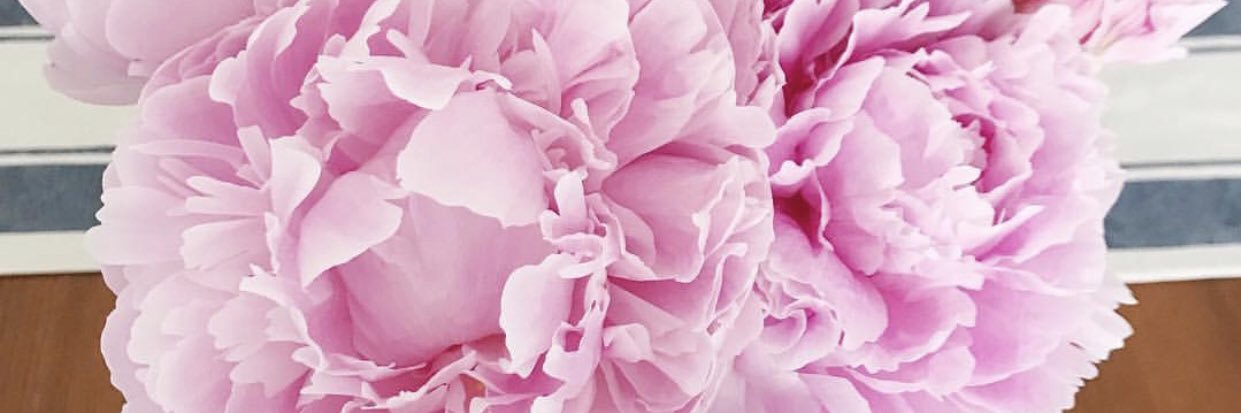 devonhembury's profile banner image