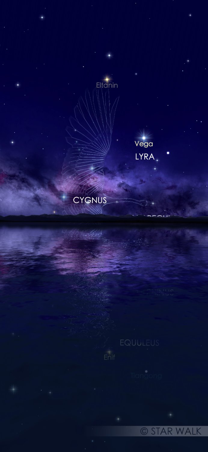 Quixstar's profile banner image