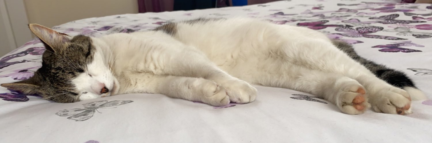 rosiewinterxox's profile banner image