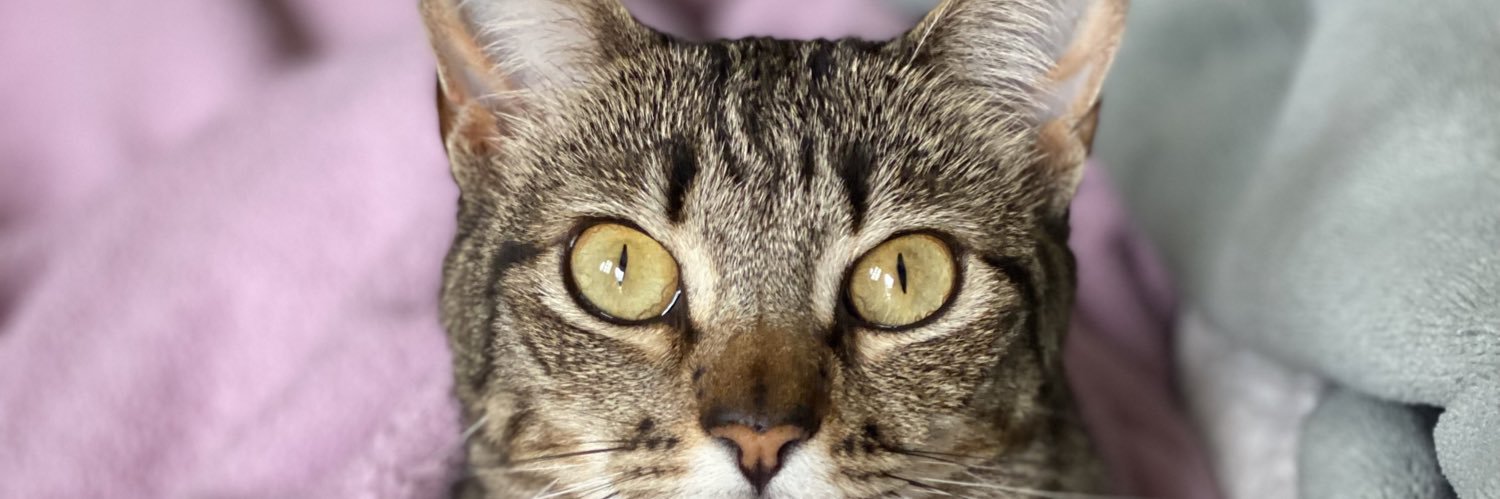 brunnns_'s profile banner image
