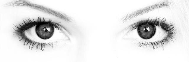 eyesocchi's profile banner image