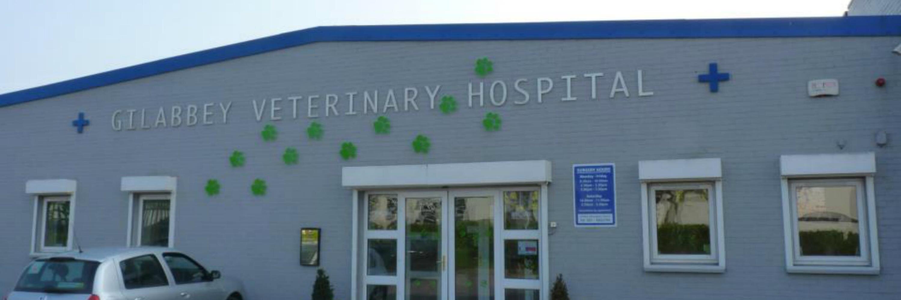 GilabbeyVets's profile banner image