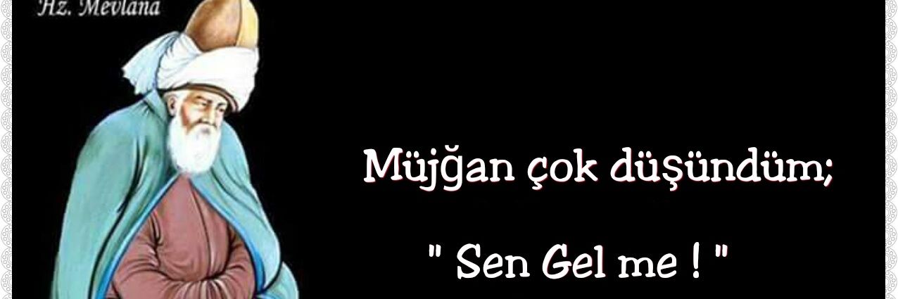 _mujgan's profile banner image