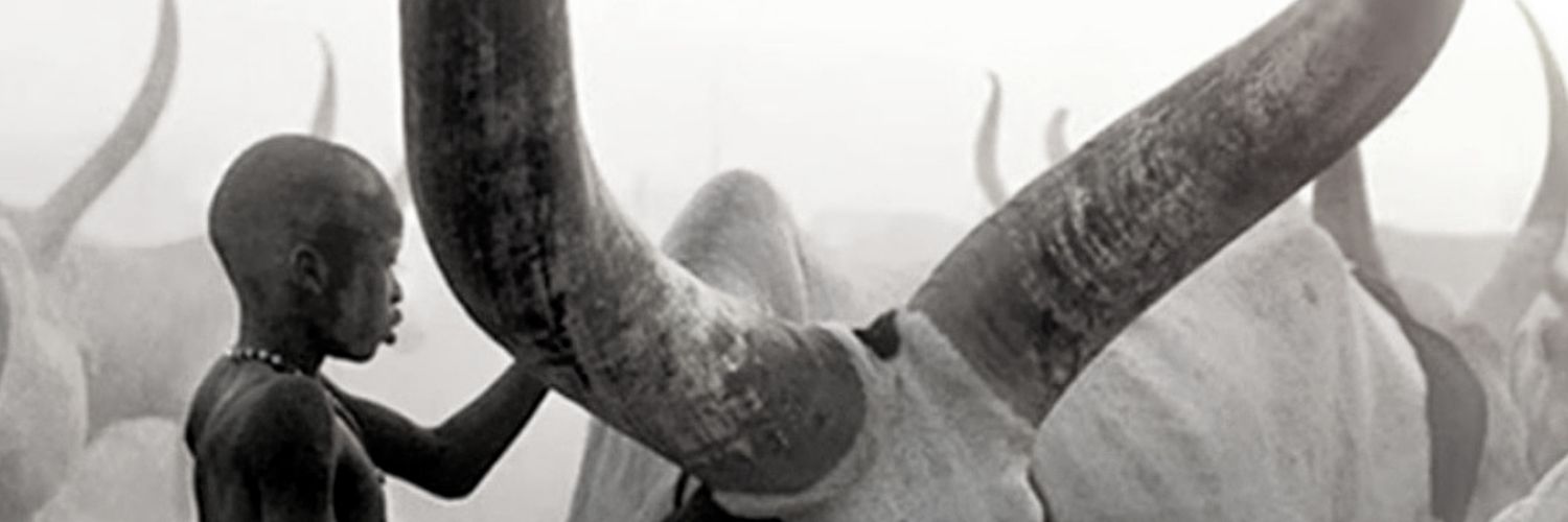 AlimKYai's profile banner image