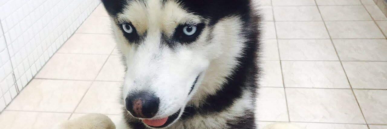 duduumm's profile banner image