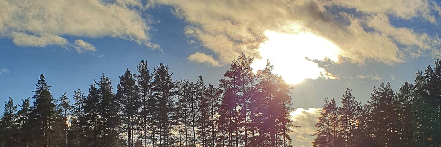 EngblomMika's profile banner image