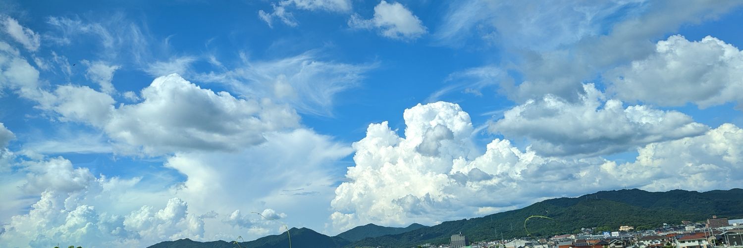 本谷史織 banner