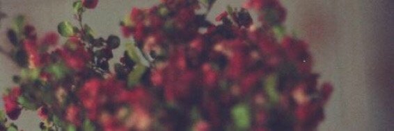 ClariceH_LI's profile banner image