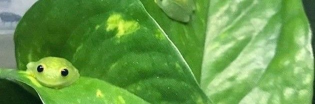lligekarrell's profile banner image