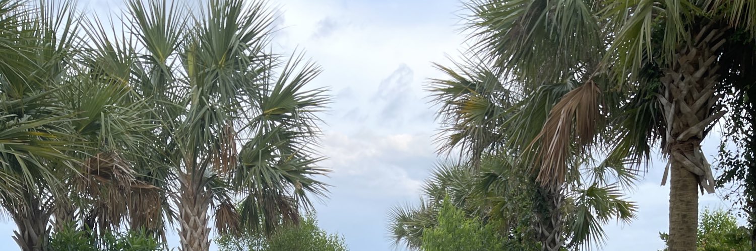 shawnam10's profile banner image