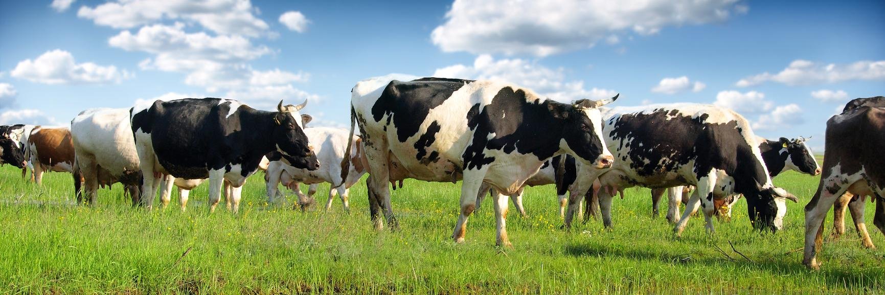 FinanceForFarms's profile banner image