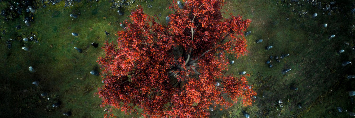 JeremiahDummer's profile banner image