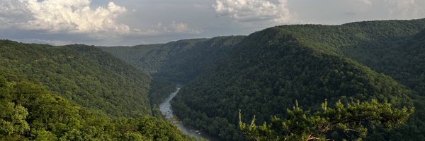 taylorstepp Profile Banner