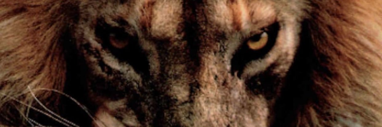 Son of Ha’Shem. banner