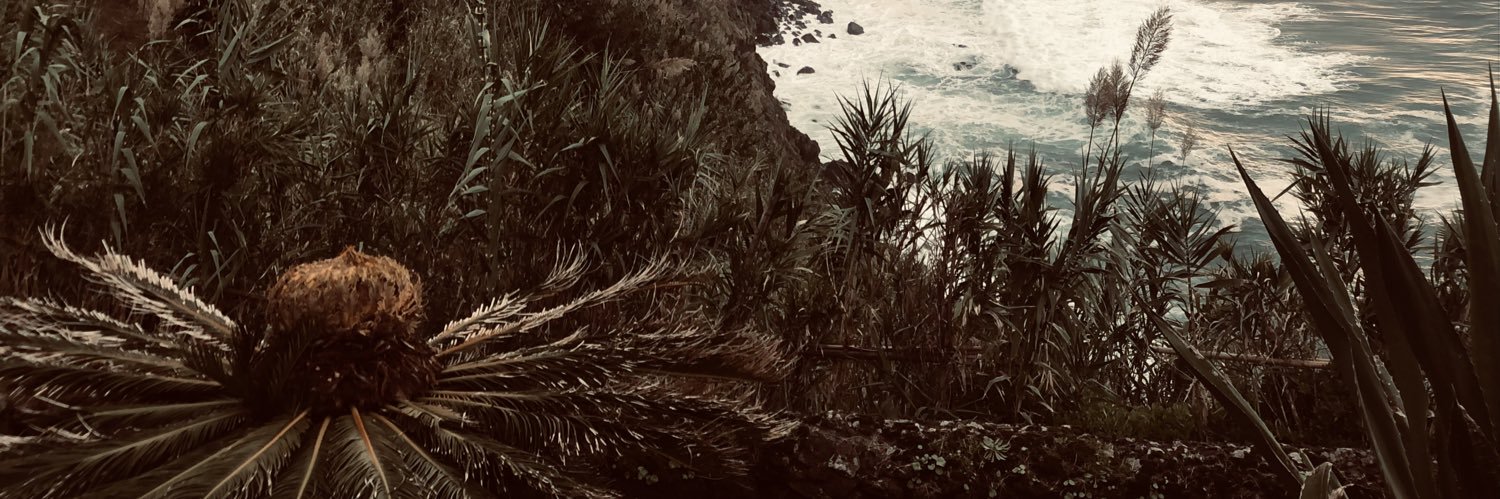 vanessamcor's profile banner image
